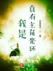 我有主角光环橙光