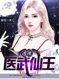 透视医武仙王猫笔