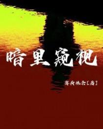 暗中窥探哪里可以看