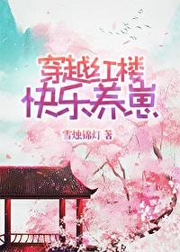 穿越红楼文经典