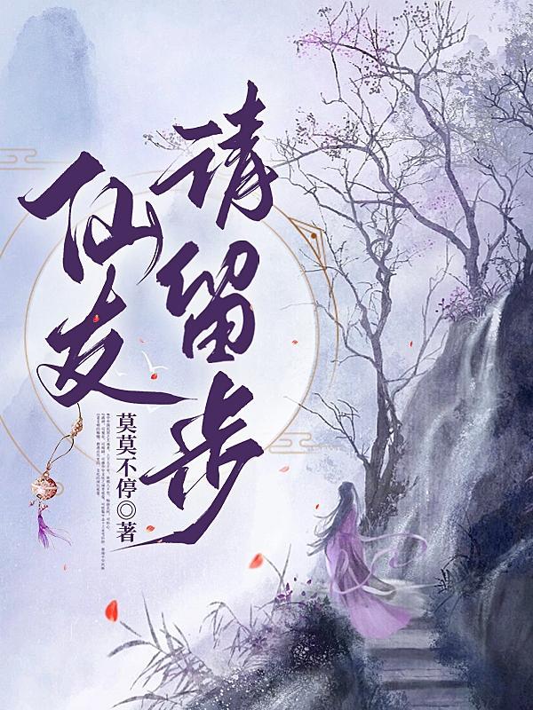 仙子请留步改编