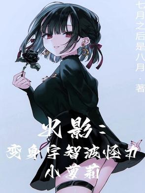 变身宇智波泉