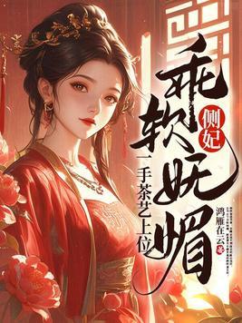 侧妃的宠文
