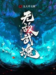 杨无敌的武魂