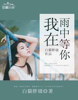 我在雨中等你恩佐经典语录