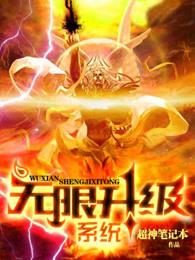 无限升级系统完结了吗