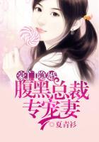 豪门隐婚腹黑总裁妖艳妻
