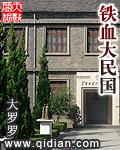 铁血大民国 笔趣阁