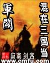 混在三国当军阀讲的什么