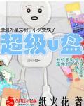 超级U盘pE