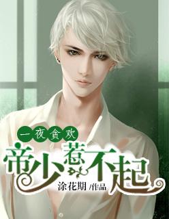 一夜定情帝少的天价新娘免费全文