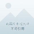 压艳群芳的意思