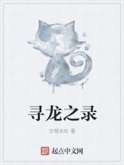 武侠boss之路TXT奇书网