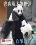 盛世毒妃鬼王
